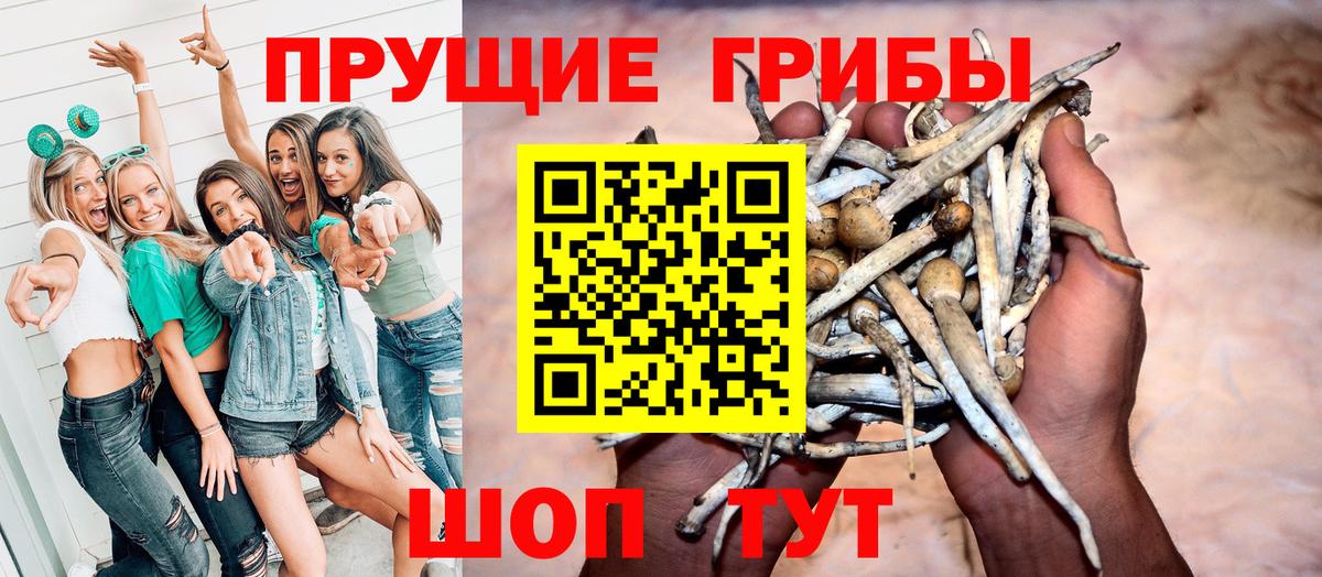 Галлюциногенные грибы прущие грибы Кинель