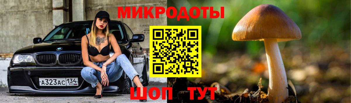 Кинель  Галлюциногенные грибы Psilocybine cubensis  Вход с VPN 
